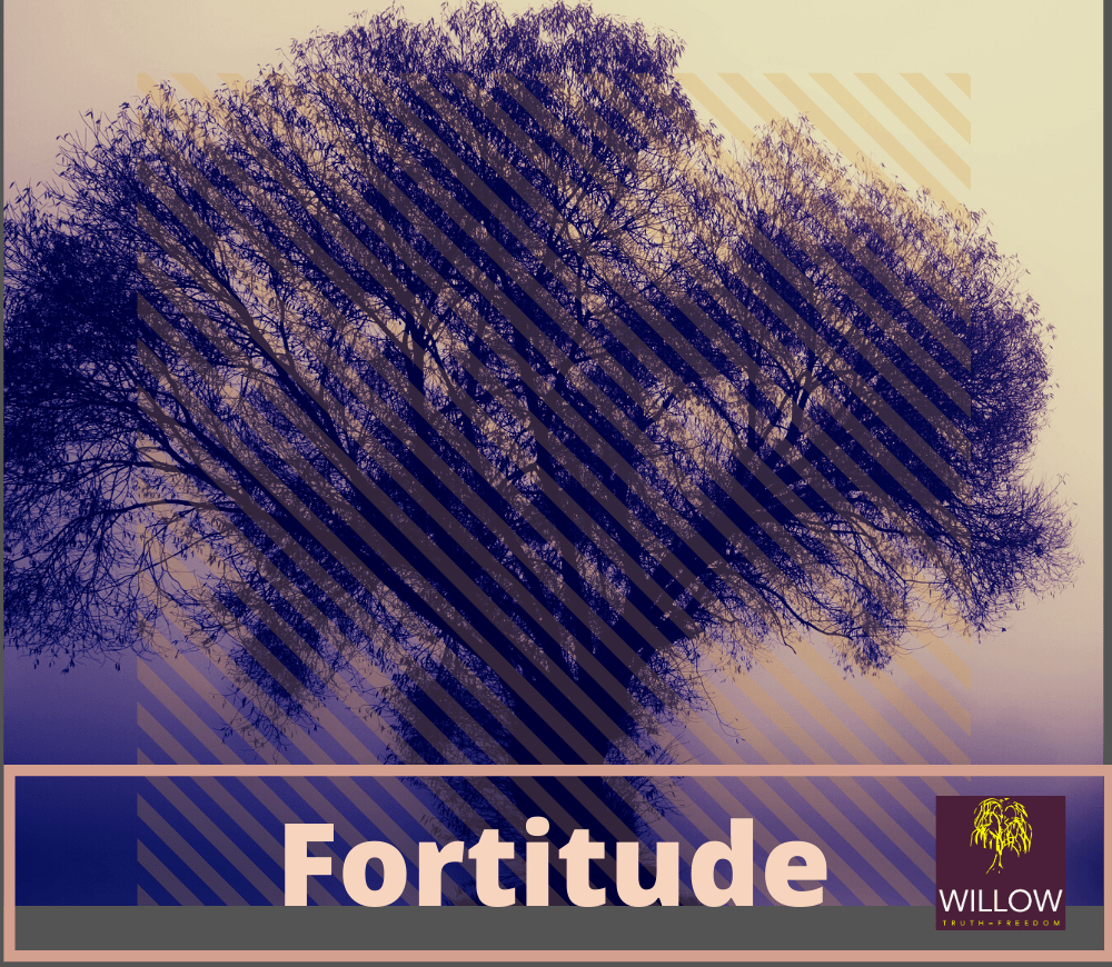 Willow Meet Fortitude
